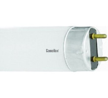 CAMELION (3009) FT8 36W/54 DAY LIGHT 6500K/36 Ватт