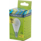 ERGOLUX (13173) LED-G45-9W-E14-3K