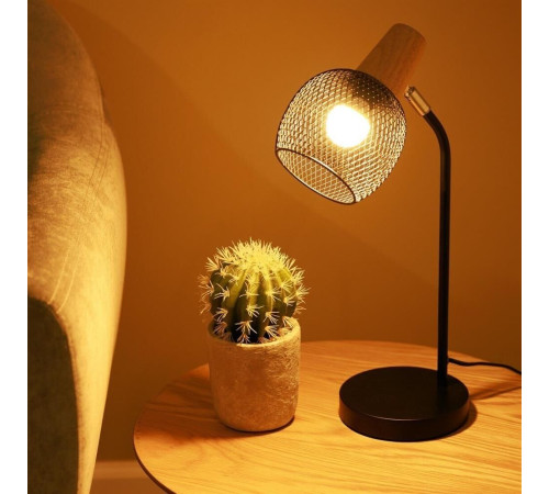 ERGOLUX (13173) LED-G45-9W-E14-3K