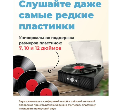 RITMIX LP-200B черный