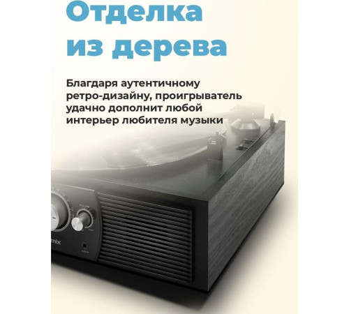 RITMIX LP-200B черный