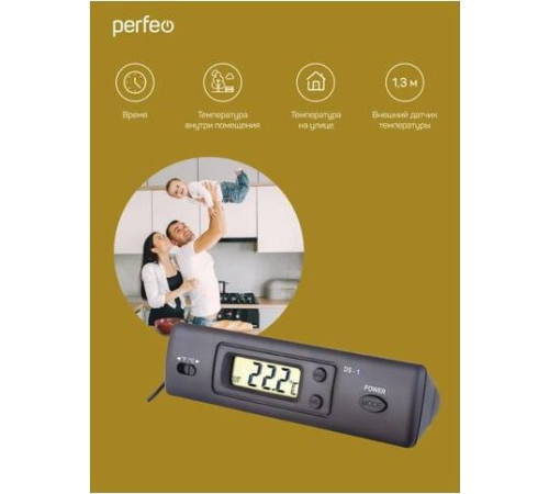 PERFEO (PF_C3667) IDAY - PF-DS-1