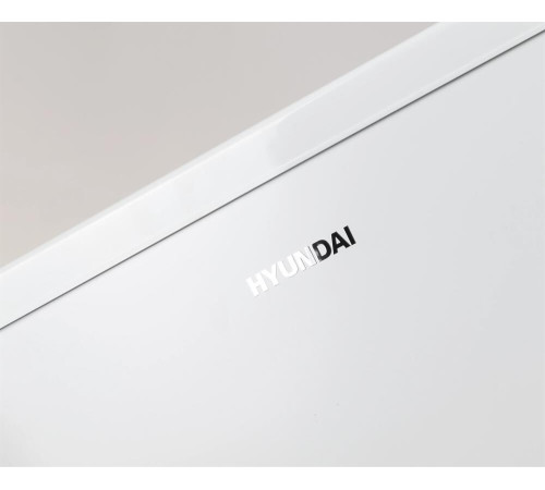 HYUNDAI CO1002 67л белый