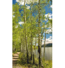 ДЫХАНИЕ ТЕПЛА Электрообогреватель бытовой настенный (рис. Берёзовый берег) Артикул 20с455