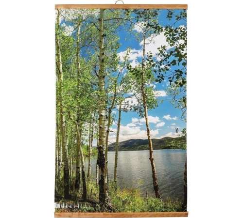 ДЫХАНИЕ ТЕПЛА Электрообогреватель бытовой настенный (рис. Берёзовый берег) Артикул 20с455