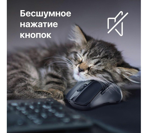 мышь DEFENDER (52053) Prime MB-053 черный