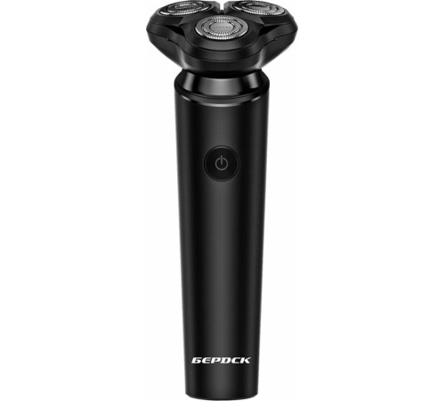 БЕРДСК 3319АС