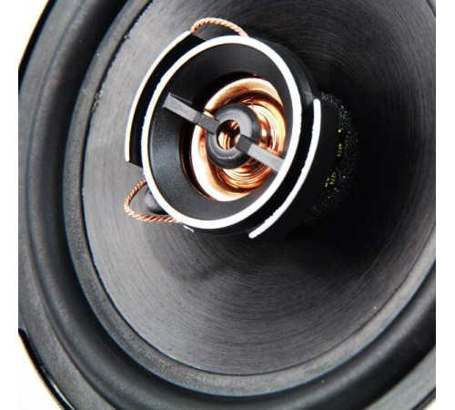 ACV PI-422E 10см/2-х полосная/30Вт/Полипропилен