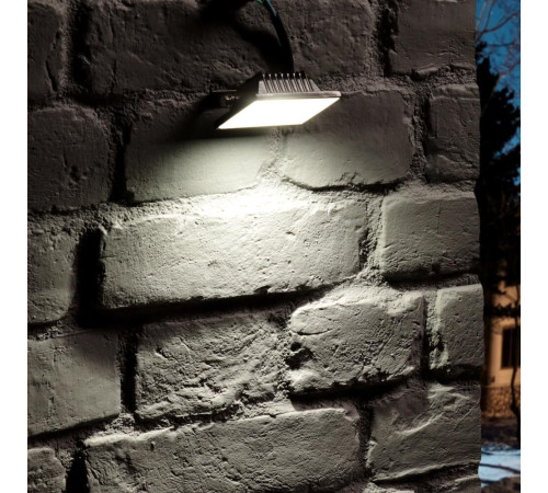 RITTER 53405 5 PROFI 10 Вт/6500К