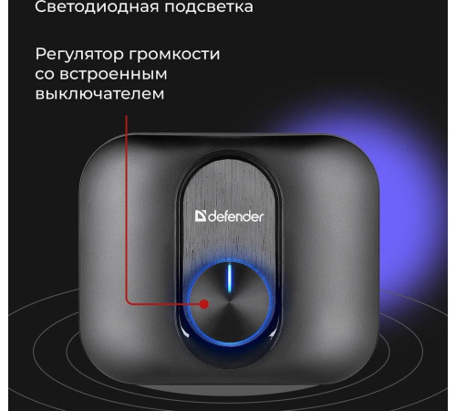 DEFENDER (65213) V13