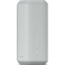 SONY SRS-XE300/HC Цвет Серый SONY SRS-XE300/HC Цвет Серый