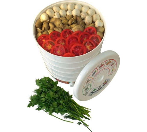 RENOVA DVN37-500/5 (В) белый/голубой