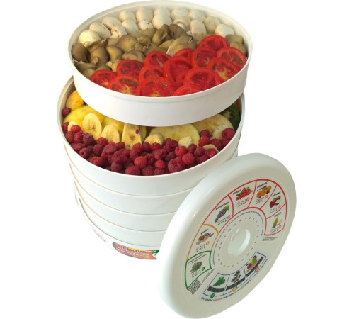 RENOVA DVN37-500/5 (В) белый/голубой