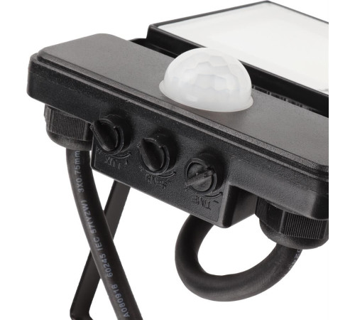 RITTER 53420 8 PROFI 20 Вт 6500К с датчиком движения черный