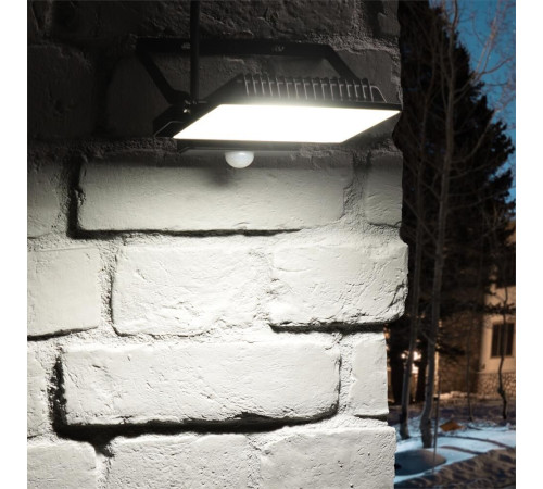 RITTER 53422 2 PROFI 50 Вт 6500К с датчиком движения черный