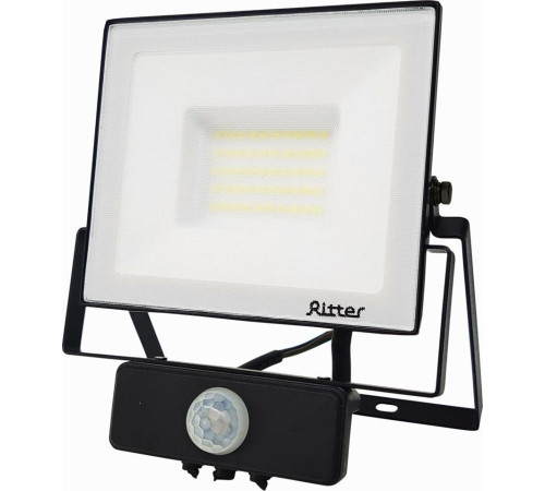 RITTER 53422 2 PROFI 50 Вт 6500К с датчиком движения черный