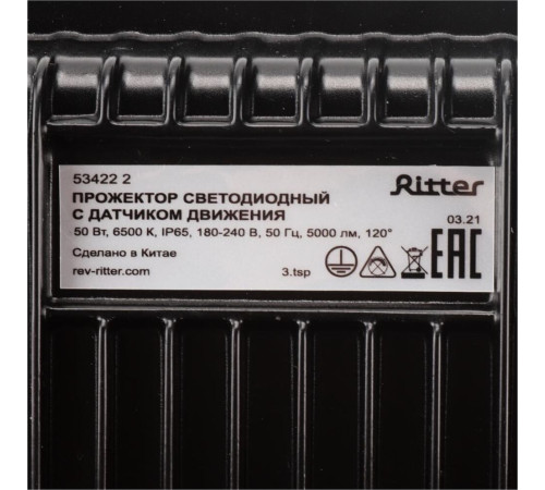 RITTER 53422 2 PROFI 50 Вт 6500К с датчиком движения черный