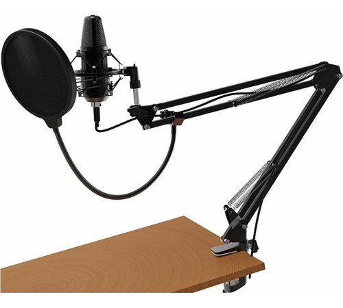 RITMIX RDM-169 черный