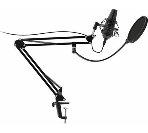 RITMIX RDM-169 черный