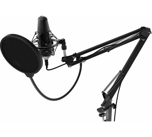 RITMIX RDM-169 черный