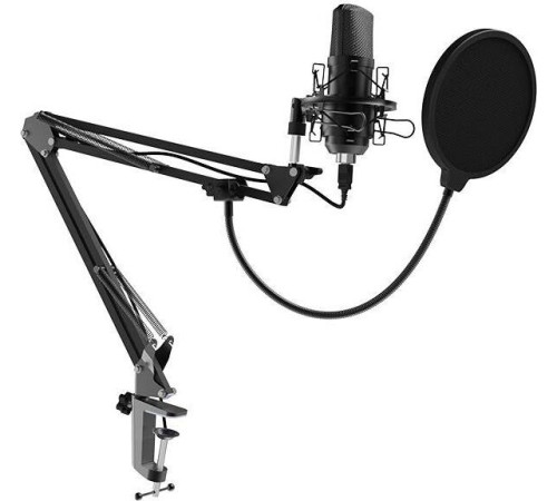 RITMIX RDM-169 черный