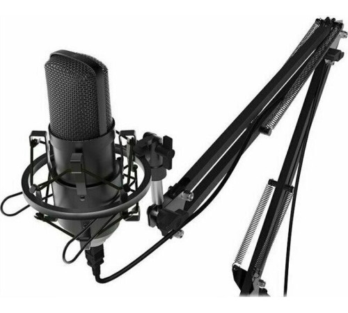 RITMIX RDM-169 черный