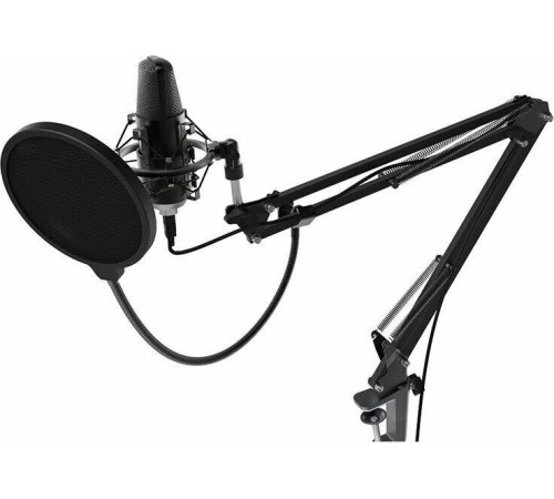 RITMIX RDM-169 черный