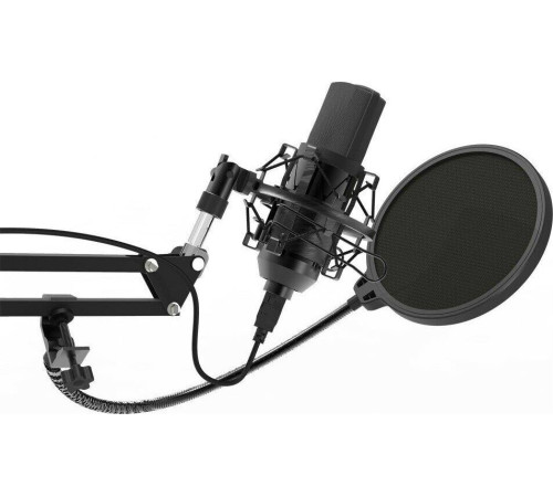 RITMIX RDM-169 черный