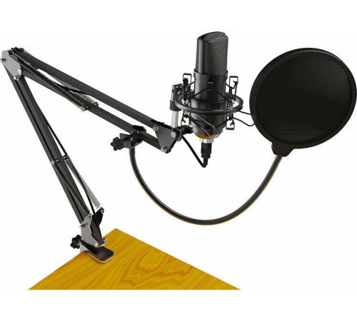 RITMIX RDM-169 черный