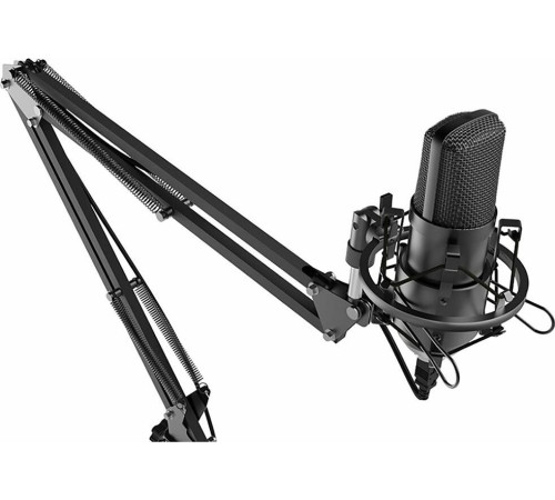 RITMIX RDM-169 черный