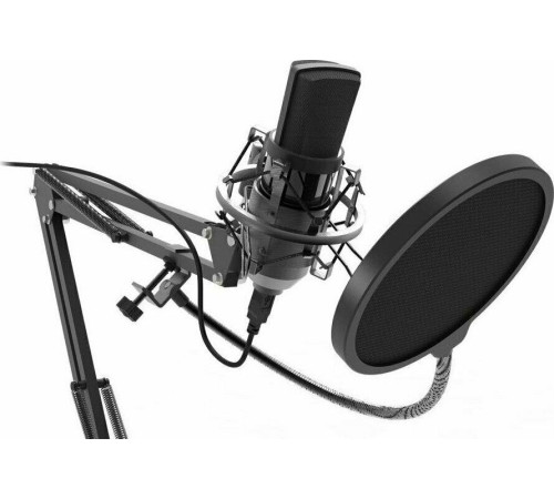 RITMIX RDM-169 черный