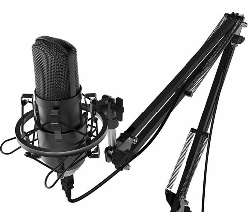 RITMIX RDM-169 черный