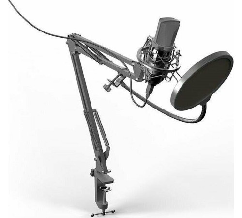 RITMIX RDM-169 черный