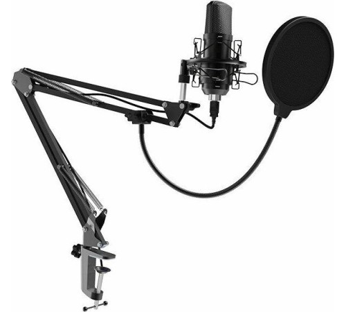 RITMIX RDM-169 черный