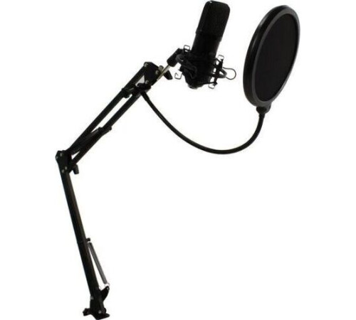 RITMIX RDM-169 черный