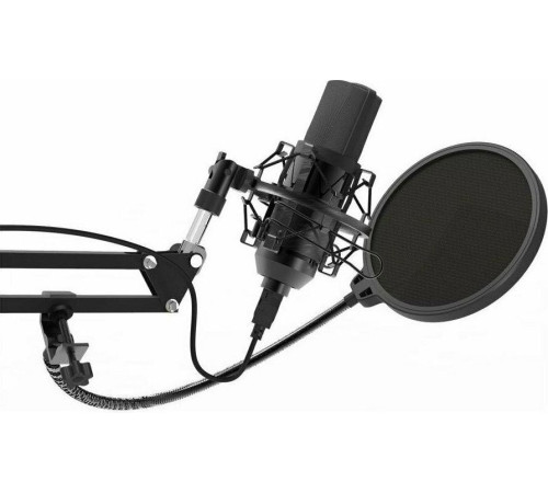 RITMIX RDM-169 черный