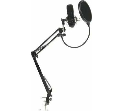 RITMIX RDM-169 черный