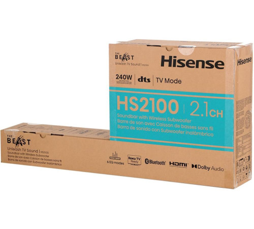 HISENSE HS2100