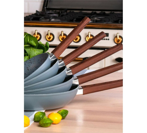 MASTER HOUSE Шеф Рафаэль из ков.алюм. с а/приг. покр. 24см 75258