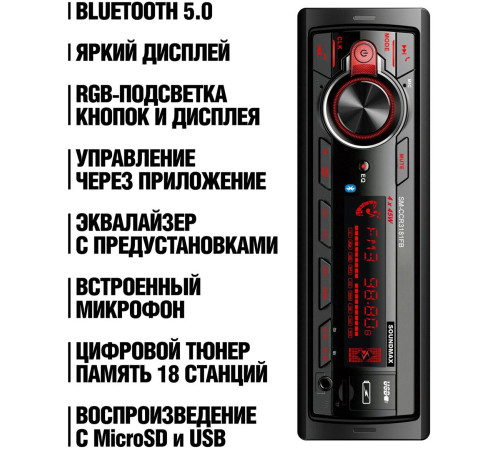 SOUNDMAX SM-CCR3181FB