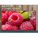 HARPER 65U661TS UHD 4K SMART TV Безрамочный