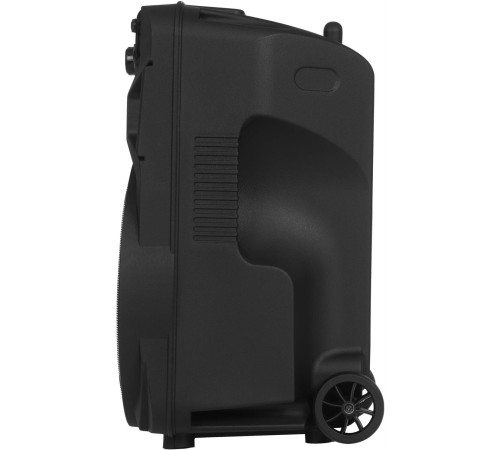 BLACKTON Bt PBS2113 черный