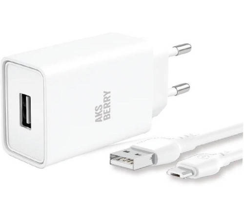 AKSBERRY (6900221570013) T40 1USB 24A + MicroUSB (белый)