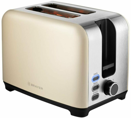 BRAYER BR2111