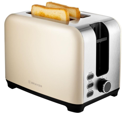 BRAYER BR2111