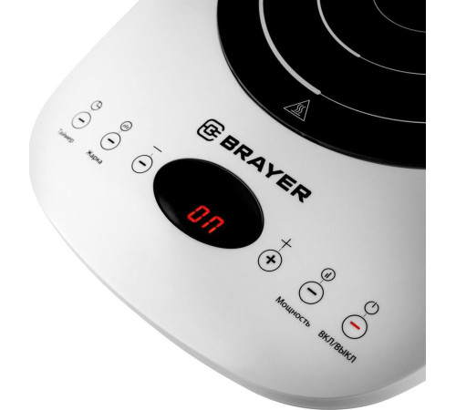 BRAYER BR2802