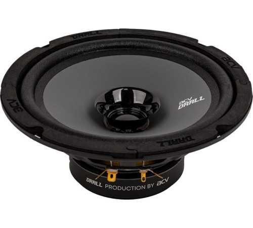 ACV DR6 DRALL эстрадная 6.5 широкополосная