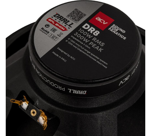 ACV DR8 DRALL эстрадная 8 широкополосная