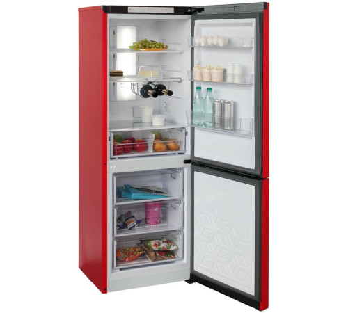 БИРЮСА H920NF 310л красный