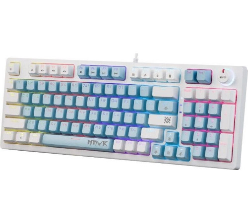 DEFENDER (45422) Hawk GK-418 RU голубой/радужный/коричневый